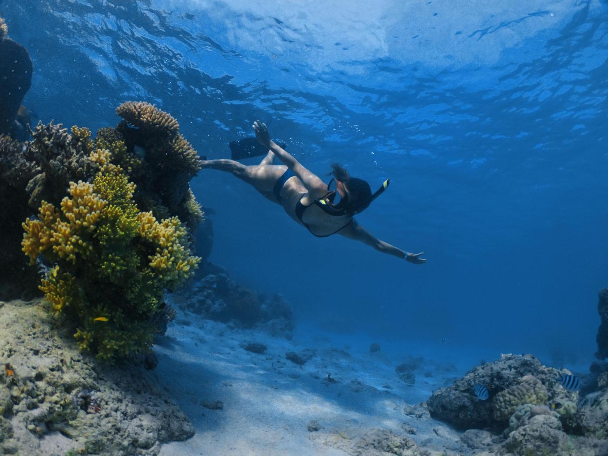 Mantaray Island Resort Nanuya Balavu Island Esterno foto